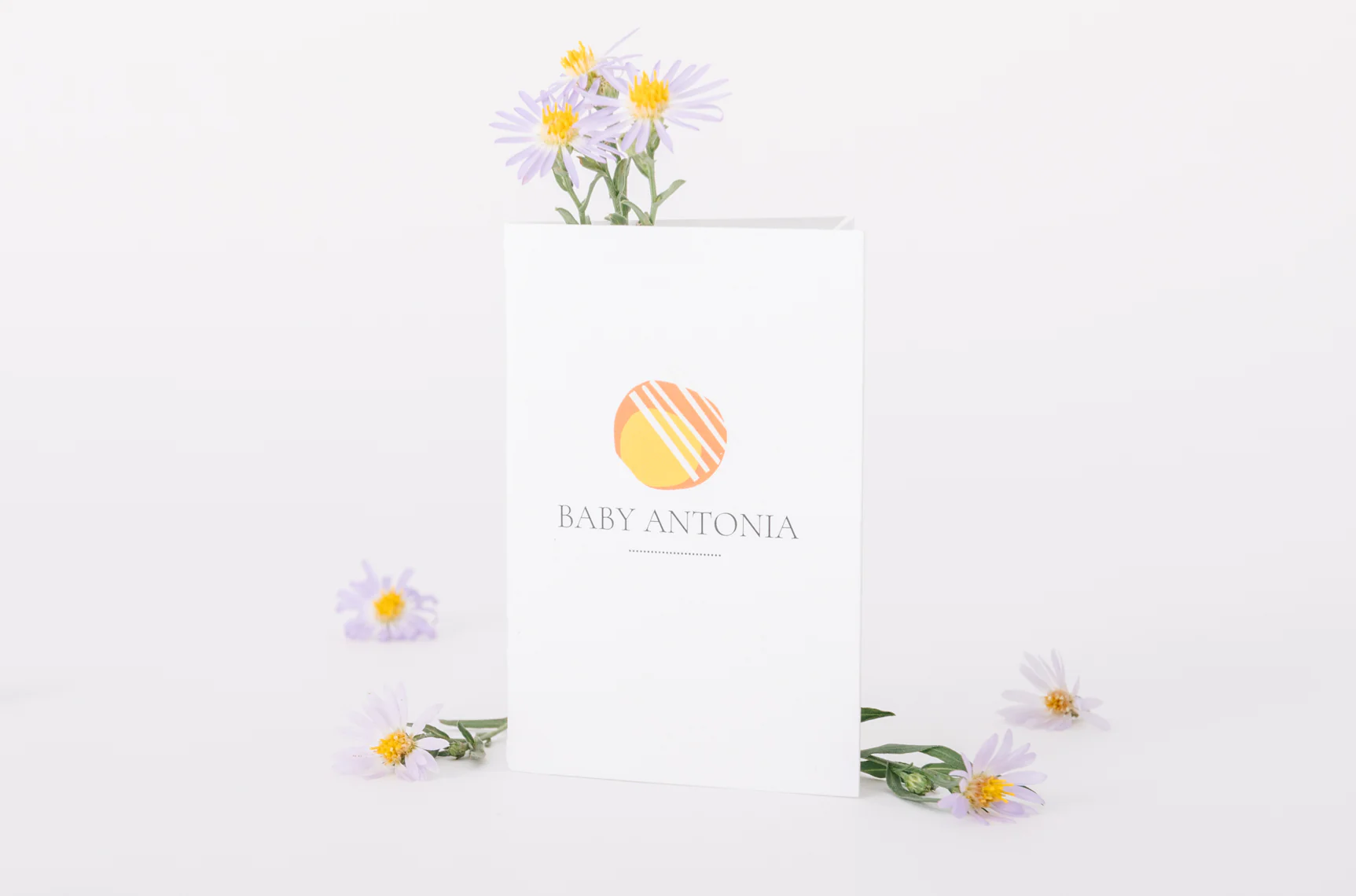 Baby Antonia - Image 20