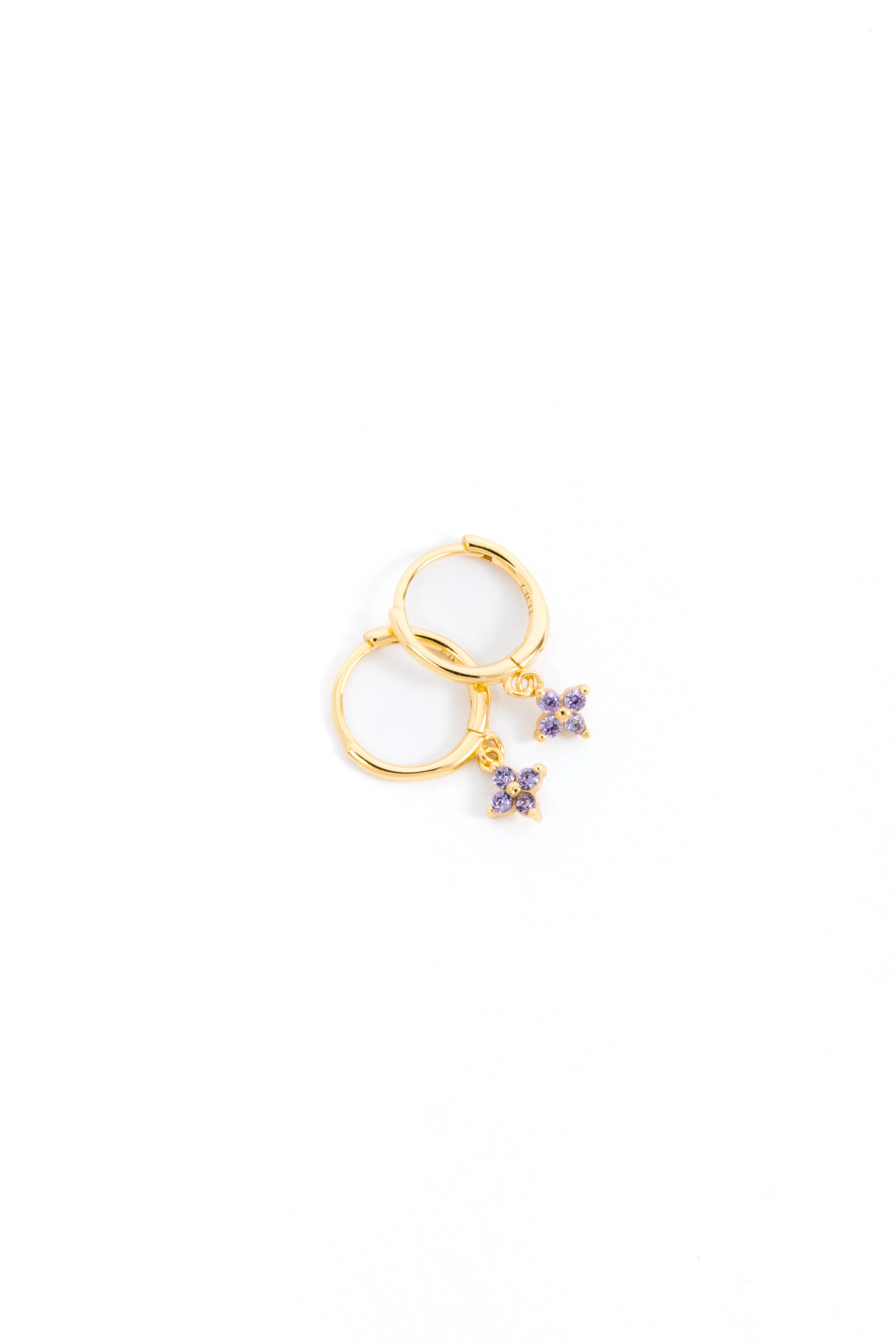 Hoop of the Month - Image 13