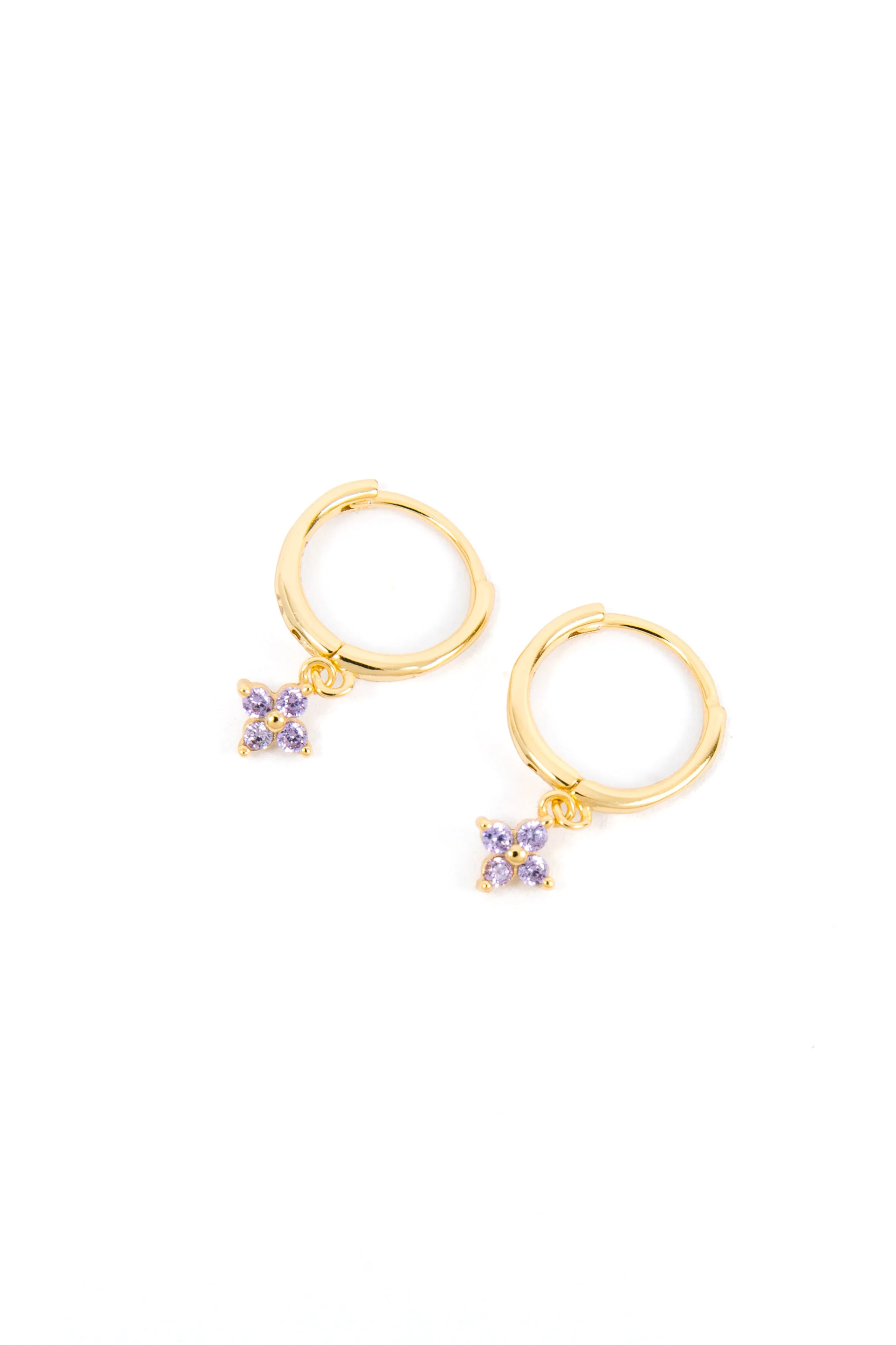 Hoop of the Month - Image 6