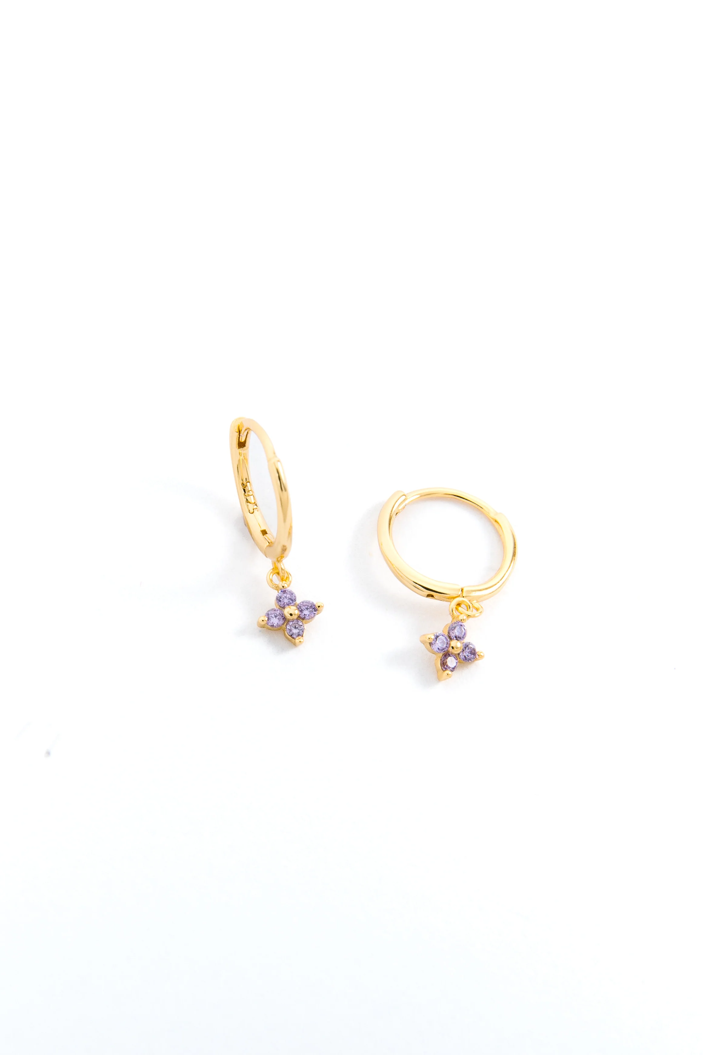 Hoop of the Month - Image 7